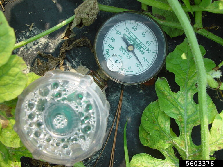 A soil tensiometer.